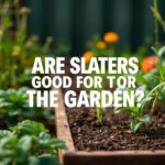 Are Slaters Good for the Garden? Discover the Benefits and Drawbacks