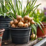 Can I Grow Onions in Containers? A Complete Guide to Successful Container Gardening
