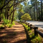 Discover Bickleigh Vale Road Mooroolbark: A Guide to the Best Attractions and Activities