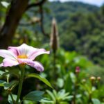 Discover the Beauty and Serenity of MT Tamborine Botanical Gardens: A Guide to Your Visit