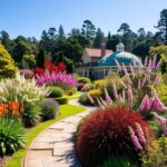 Discover the Beauty of Mt Dandenong Botanical Gardens: A Complete Visitor's Guide