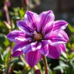 Discover the Best Flowers That Grow in the Shade for a Gorgeous Garden