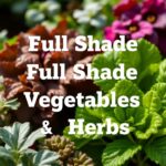 Discover the Best Full Shade Vegetables and Herbs for Your Garden