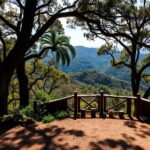 Discover the Best Leura Attractions: Top Things to Do in Leura Attractions Things to Do