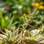 Discover the Best Native Plant Nursery Perth for Your Gardening Needs