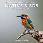 Discover the Fascinating Native Birds of Victoria, Australia: A Complete Guide