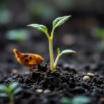 Discover What Seeds Germinate in 2 Days? - Fast Growing Seeds for Quick Results