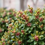 Discover Which is an Example of a Shrub? A Beginner's Guide to Shrubs