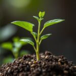 Discover Which Seed Will Grow in 3 Days? A Quick Guide to Fast-Growing Seeds
