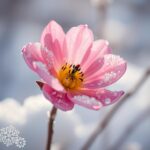 Do Any Flowers Bloom in Winter? Discover the Hardiest Winter Blooms