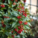 Expert Tips for Caring for an Nandina Domestica: A Comprehensive Guide