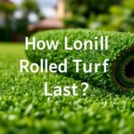 How Long Will Rolled Turf Last? Essential Tips for Longevity and Maintenance