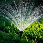 How Much Water Should a Sprinkler System Use Per Day? Essential Guide for Efficient Irrigation