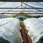 How Thick Should Plastic Sheeting Be for a Greenhouse? The Ultimate Guide to Choosing the Right Thickness