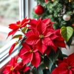 How to Care for Your Red Christmas Plant Poinsettia: Tips and Inspiration