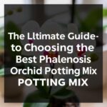 The Ultimate Guide to Choosing the Best Phalaenopsis Orchid Potting Mix