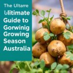 The Ultimate Guide to Potato Growing Season Australia: Tips and Best Practices