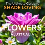 The Ultimate Guide to Shade Loving Flowers Australia: Top Picks for Your Garden