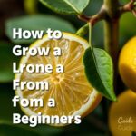 Ultimate Guide: How to Grow a Lemon from a Seed for Beginners