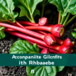 Ultimate Guide to Companion Planting with Rhubarb: Boost Your Garden's Success