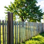 What Happens If You Plant a Tree Too Close to a Fence? Key Considerations and Tips