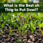 What is the Best Thing to Put Down to Prevent Weeds? Expert Tips and Top Solutions