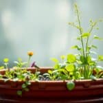 What is the best thing to put in the bottom of a large planter? Essential Tips for Optimal Plant Growth