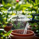 What is the best time to water garden in hot weather? Expert Tips for Optimal Plant Care