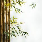 What is the downside of bamboo? Exploring the Drawbacks and Challenges of Bamboo Usage.