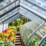 Which is Better for a Greenhouse, PVC or Polycarbonate? A Detailed Comparison Guide